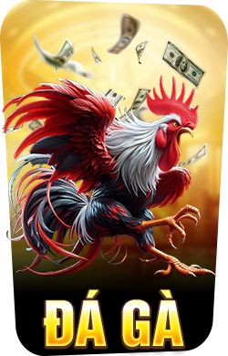 đá gà 3win